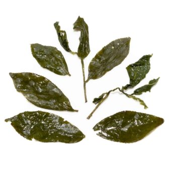 Taiwan Nantou Shan Lin Xi Lightly Roasted - Sun Link Sea Baked Oolong