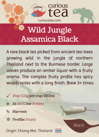 Thailand Wild Jungle Assamica Black Tea Pouch