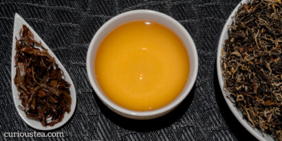 Blog - Darjeeling Gopaldhara Golden Tips Black