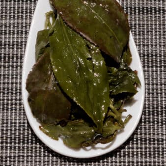 Taiwan Nantou County Yushan High Mountain Gui Fei Oolong
