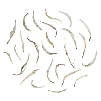 Sri Lanka Ceylon Devagiri Silver Needle White Tea